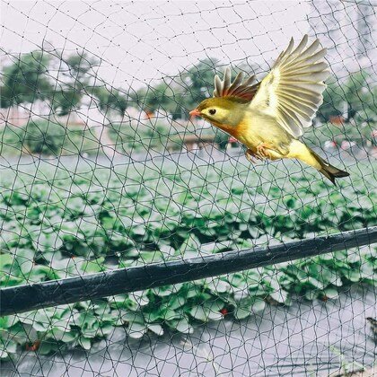 Anti Bird Nets2