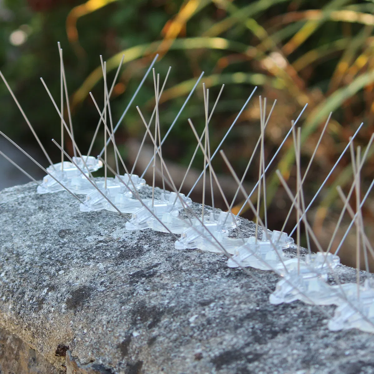 Bird Spikes4