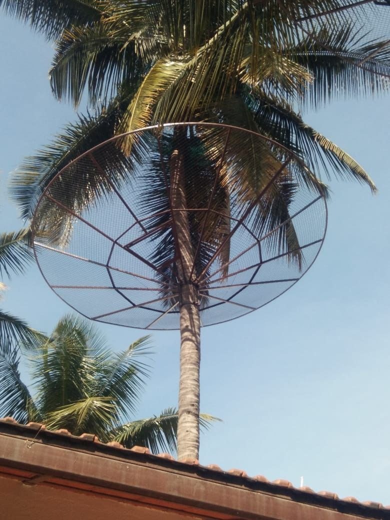 Coconut Tree Safety Nets3
