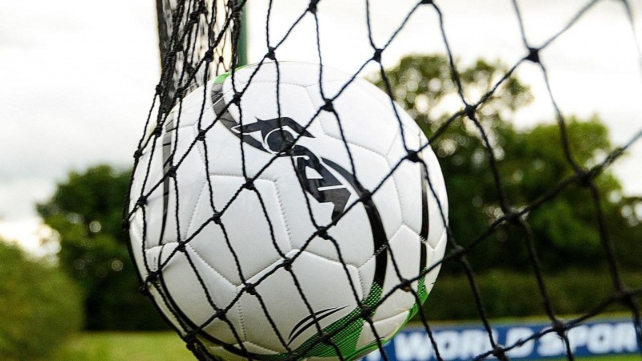 Football Ball Stop Netting