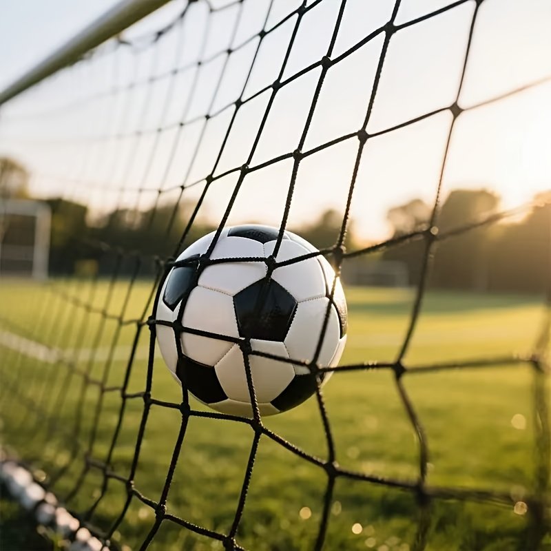 Football Ball Stop Netting2