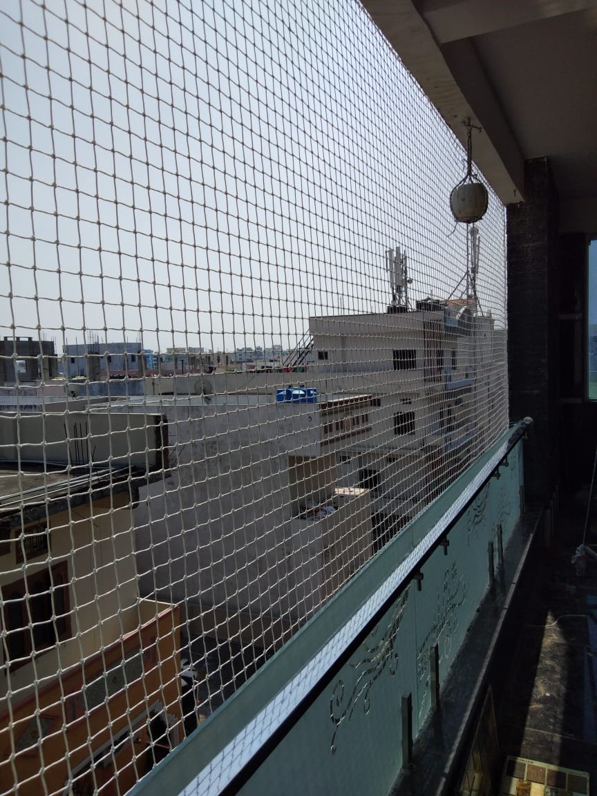 Sparrow Protection Nets3