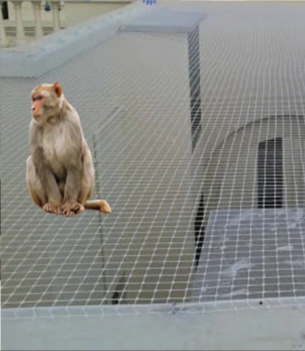 monkey-net